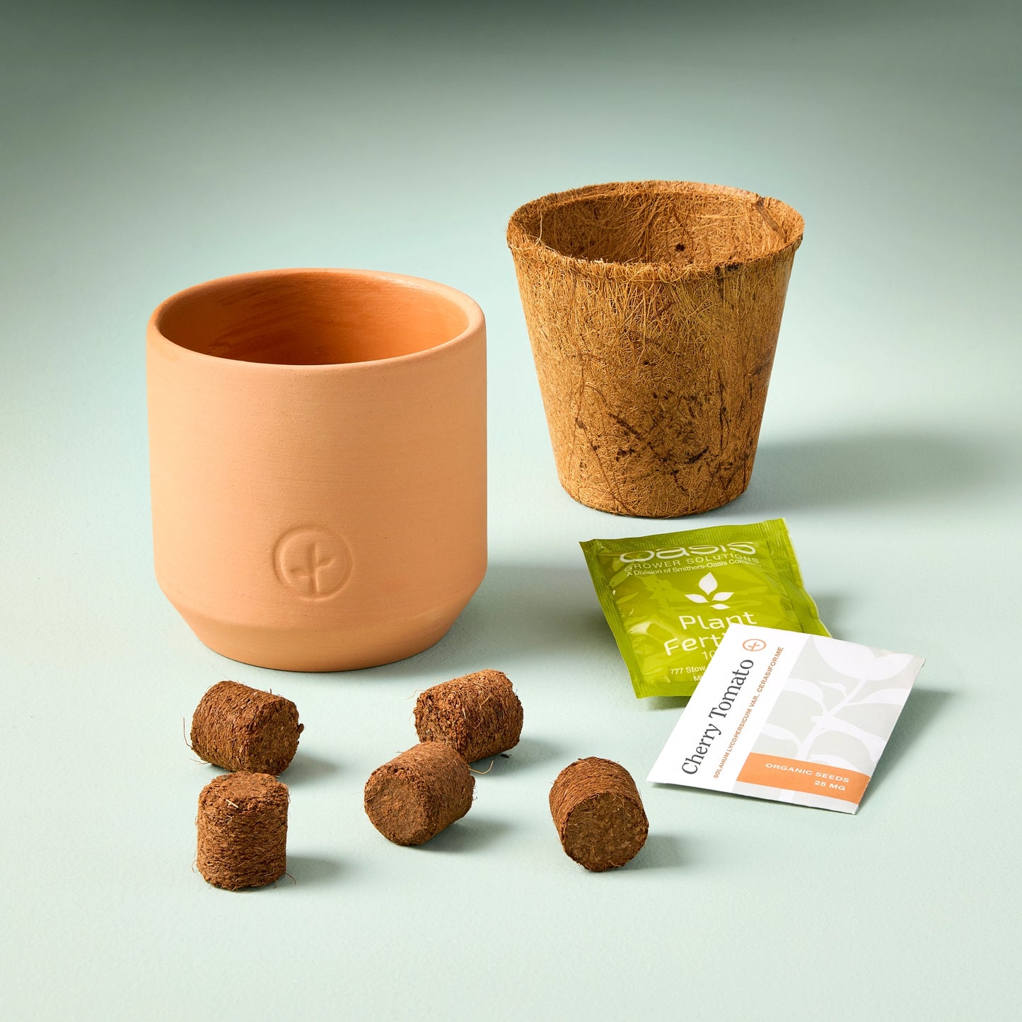 Tiny Terracotta Grow Kit - Good Luck Clover