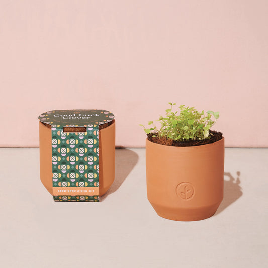 Tiny Terracotta Grow Kit - Good Luck Clover