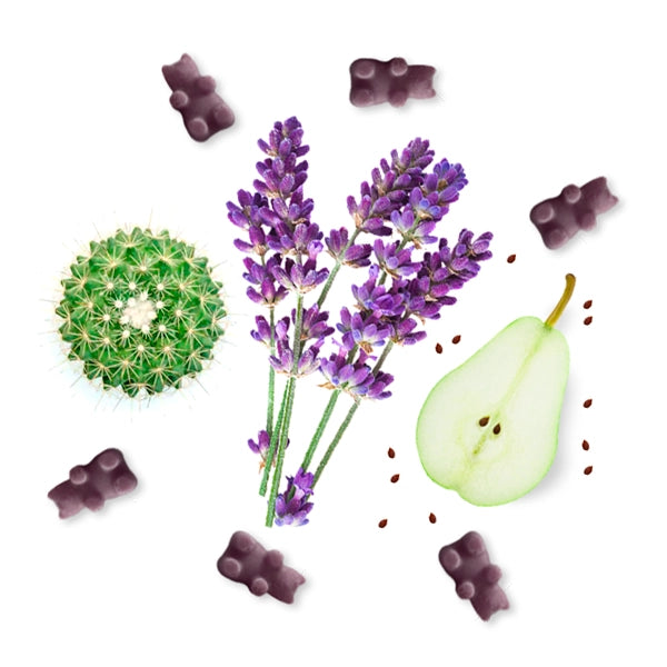 Soy Wax Melts - Lavender Cactus