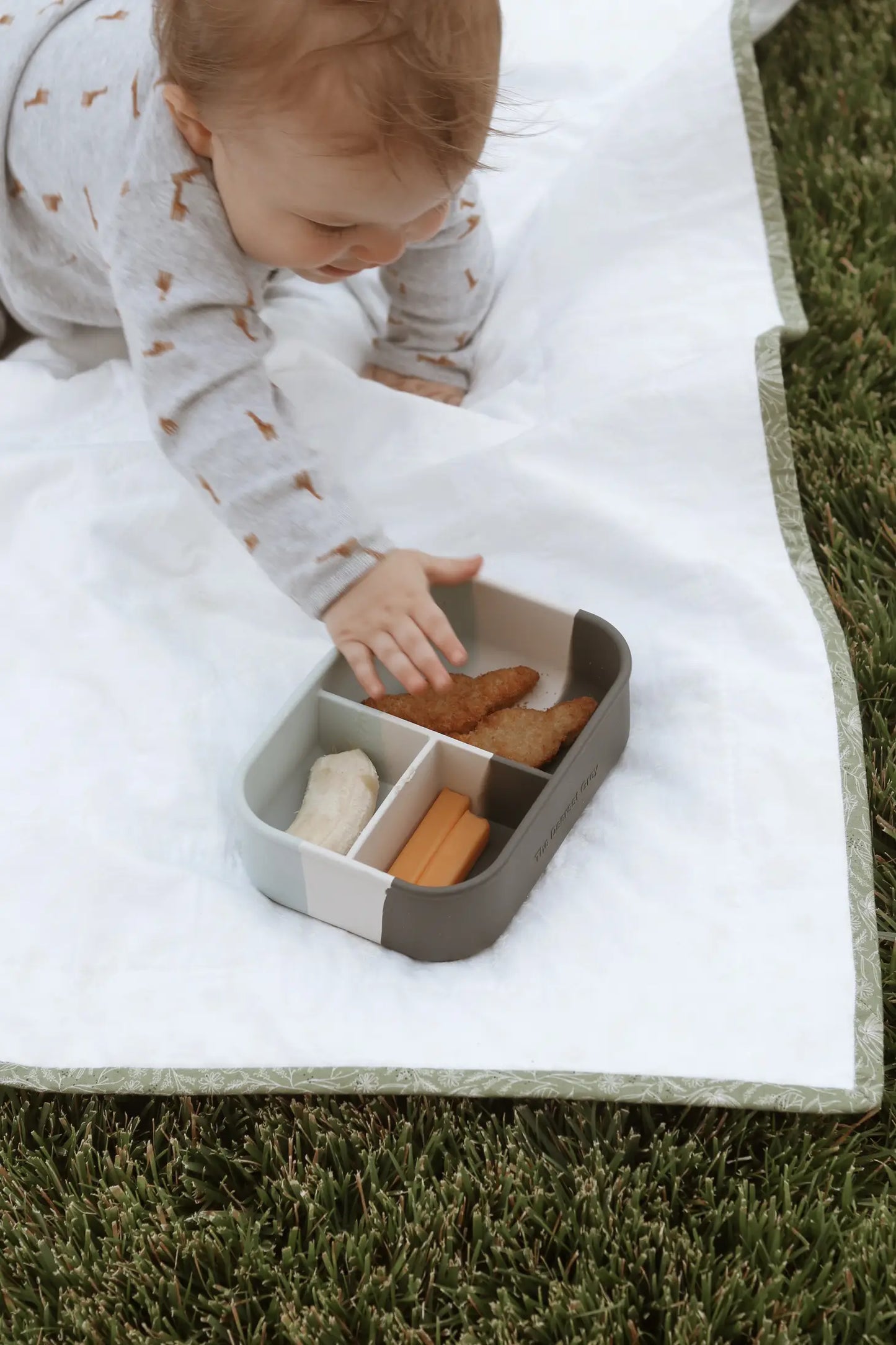 Silicone Bento Box - Sprinkles