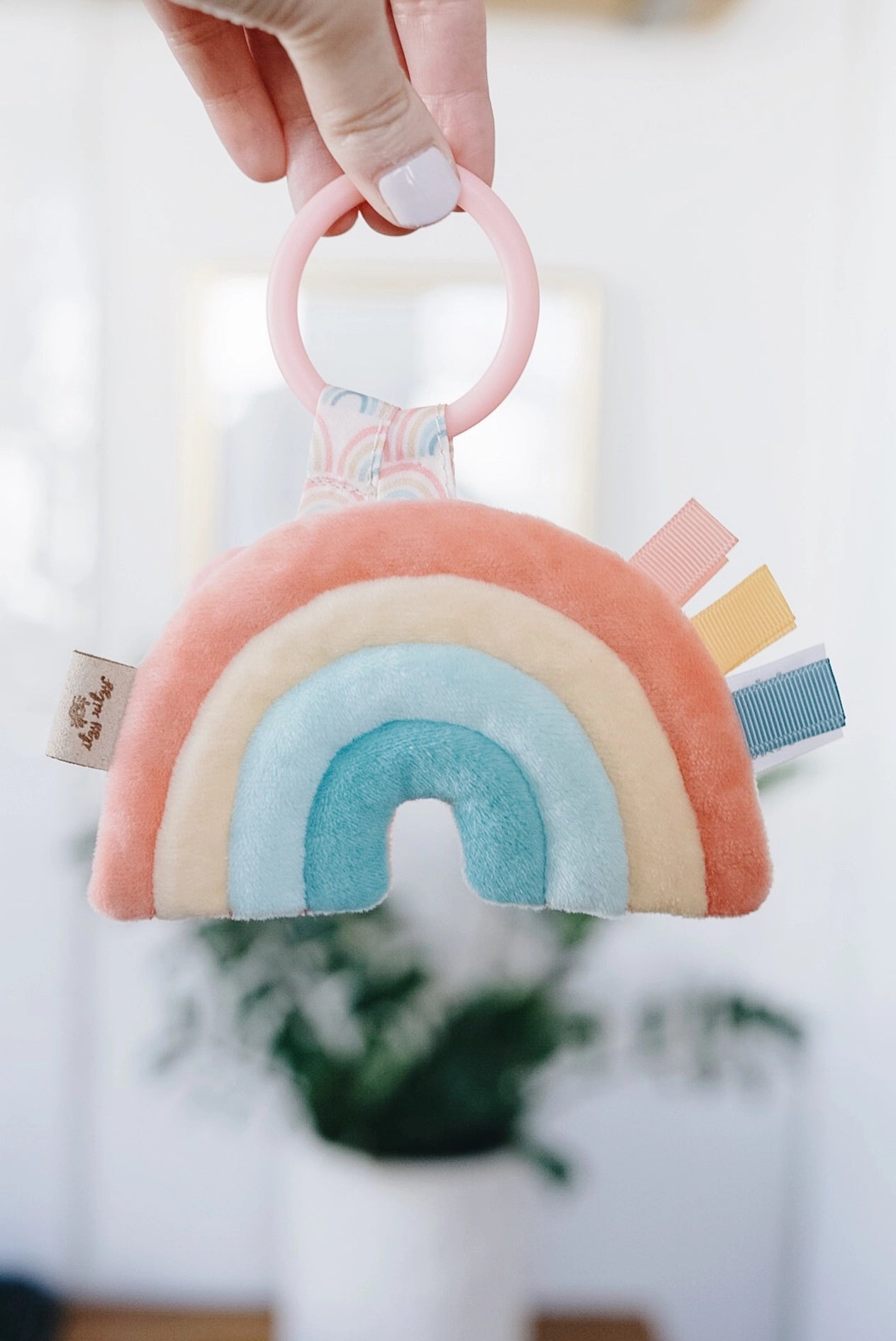 Itzy Pal Plush + Teether - Rainbow