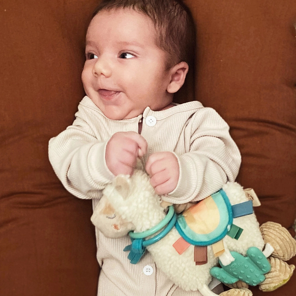 Itzy Friends Link + Love Activity Plush w/Teether Toy - Llama