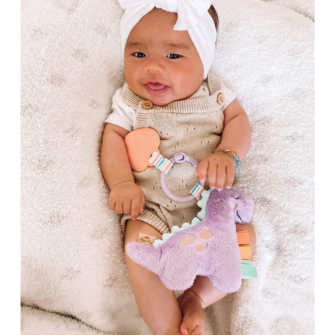 Itzy Pal Plush + Teether - Lilac Dino