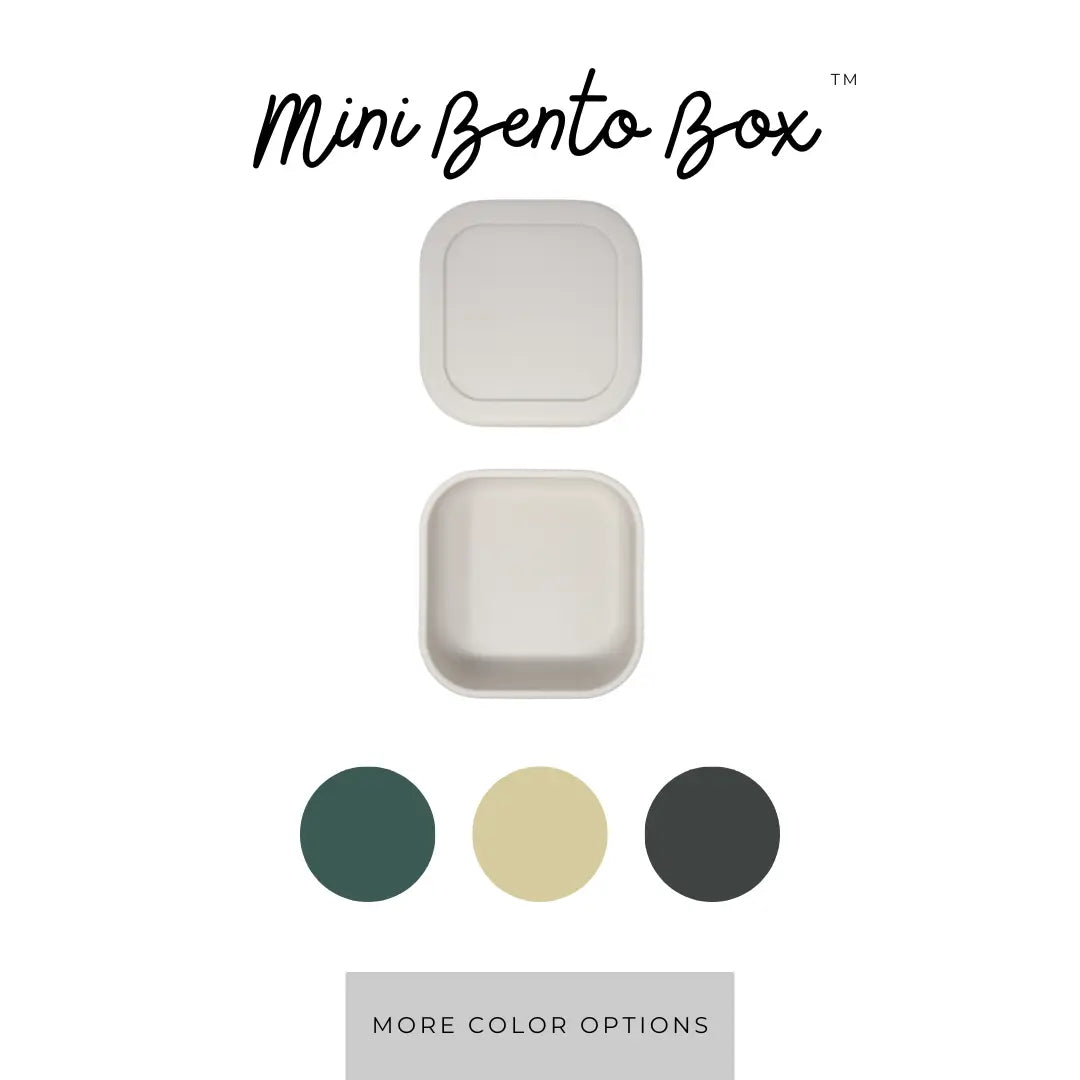 Mini Silicone Bento Box - Terracotta