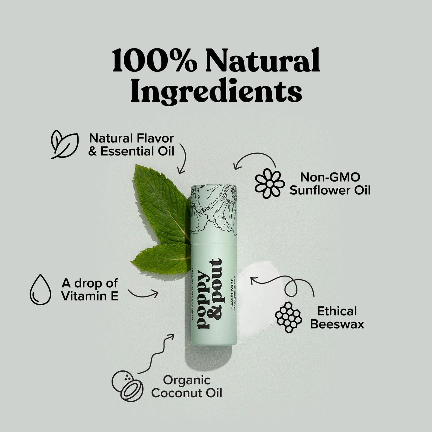 All Natural Lip Balm - Sweet Mint
