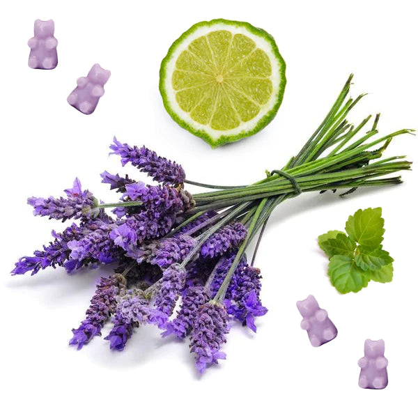 Soy Wax Melts - Calming Lavender