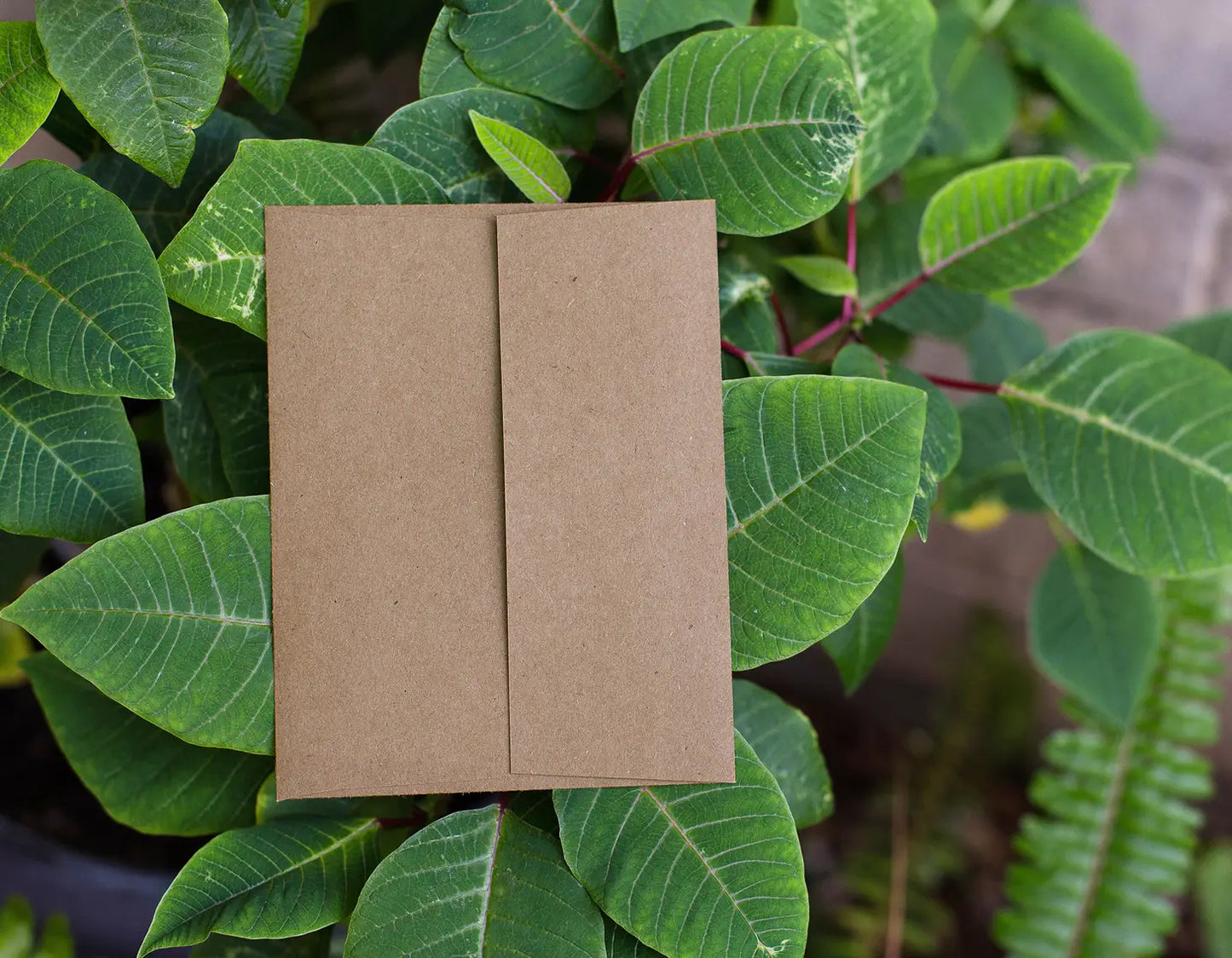 You're One Cool Mama - Greeting Card