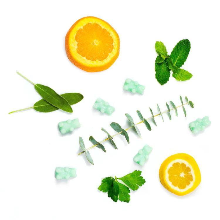 Soy Wax Melts - Eucalyptus Spearmint