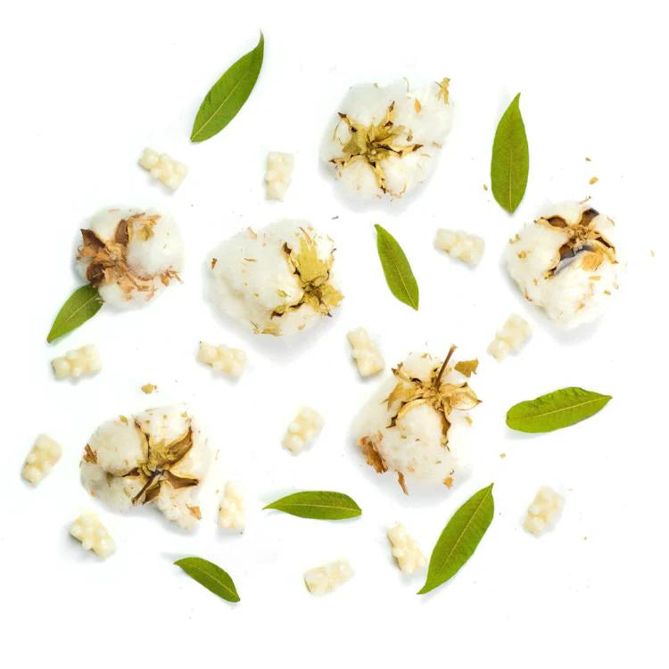 Soy Wax Melts - Fresh Cotton