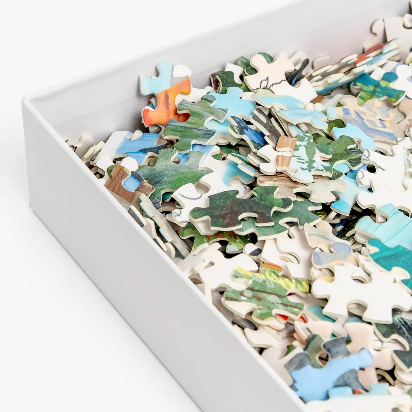 1000 Piece Puzzle - National Parks