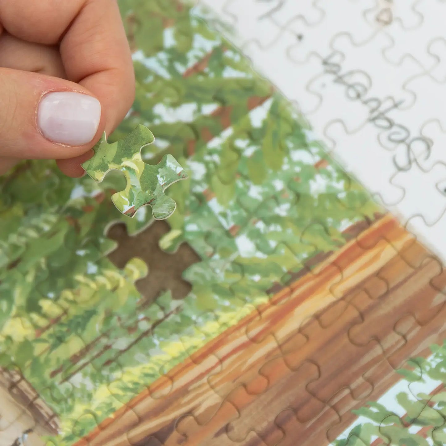 1000 Piece Puzzle - National Parks
