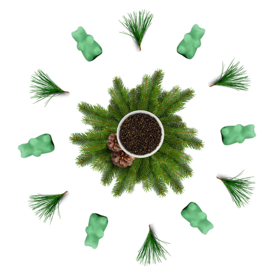Soy Wax Melts - Pine Forest