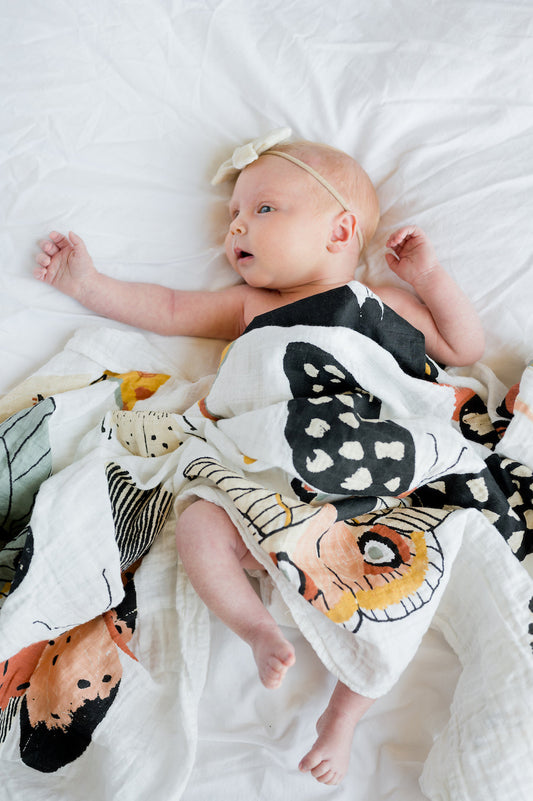 Butterfly Collector Swaddle *COLLECTIVE*