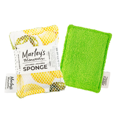 Washable Sponge *COLLECTIVE*