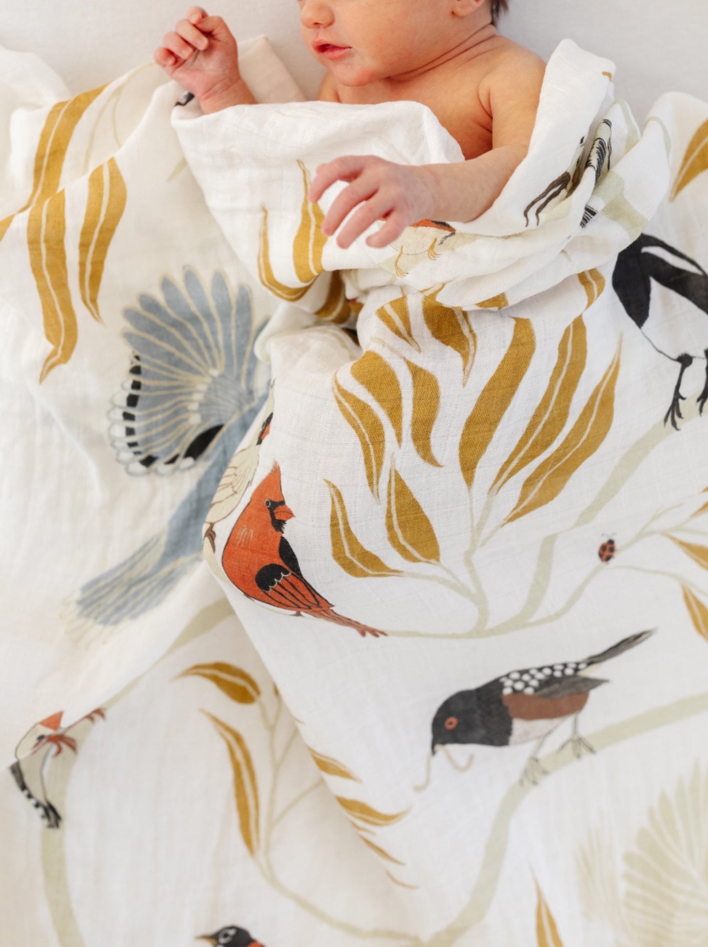 For the Birds Swaddle *COLLECTIVE*