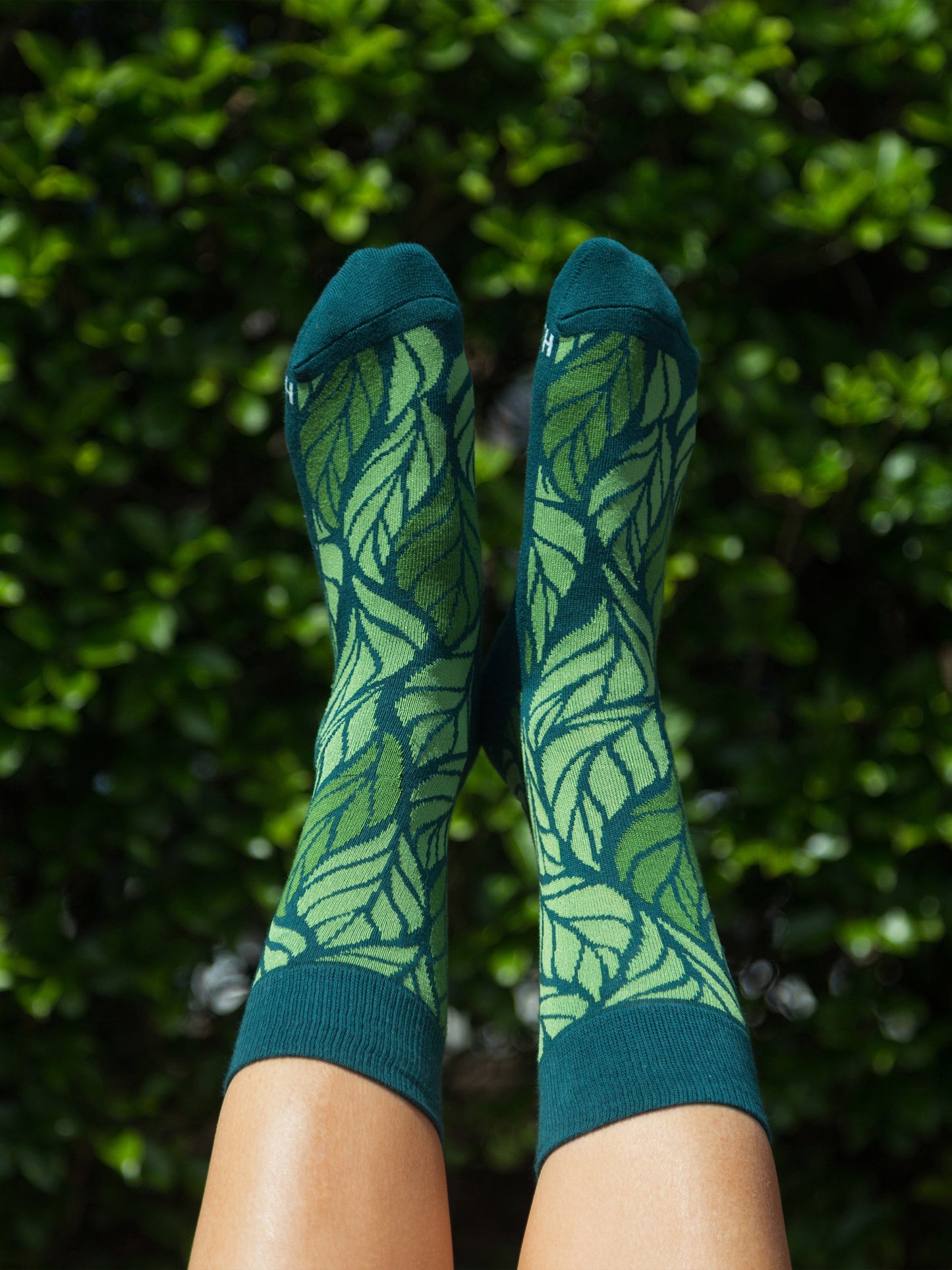Into the Woods Socks - Set of 3 *COLLECTIVE*