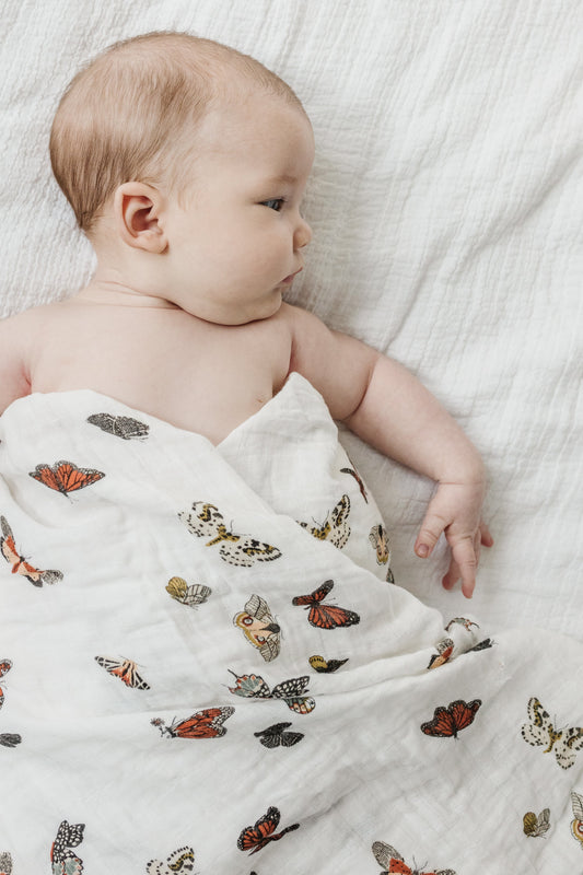 Butterfly Migration Swaddle *COLLECTIVE*