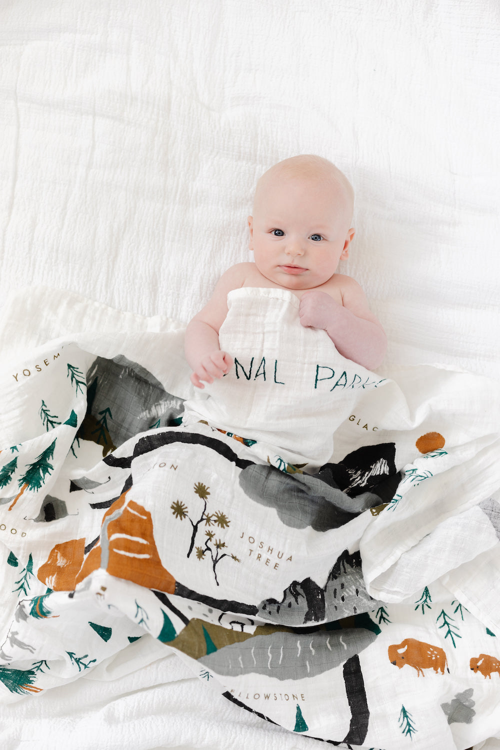 National Parks Swaddle *COLLECTIVE*