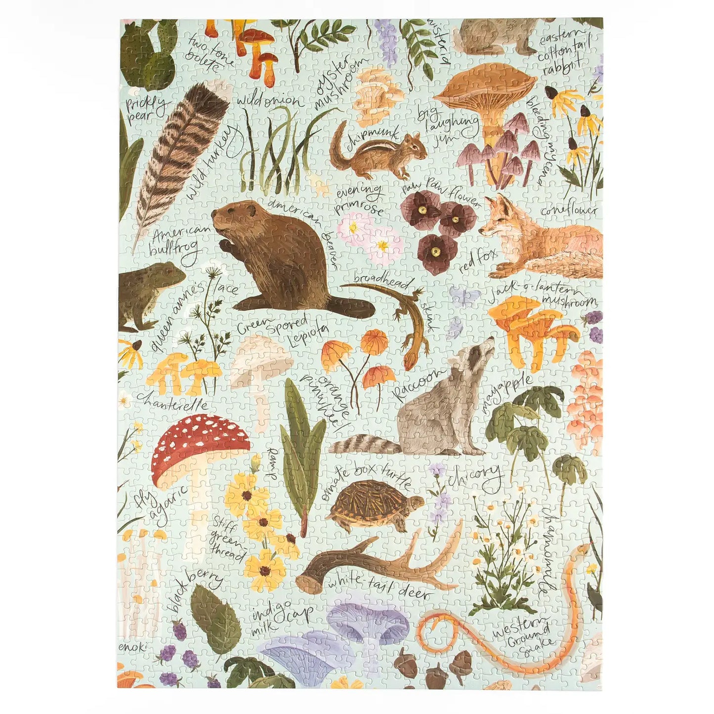 1000 Piece Puzzle - Flora + Fauna